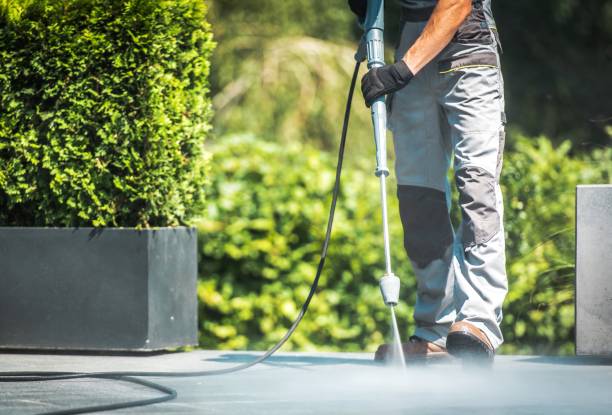 Best Driveway Pressure Washing  in Mked Tree, AR