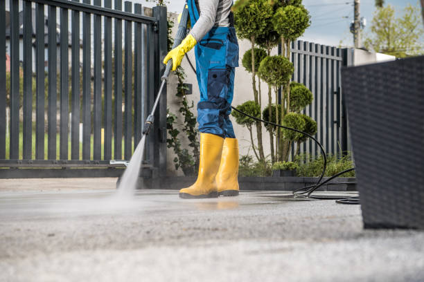 Best Fence Cleaning  in Mked Tree, AR
