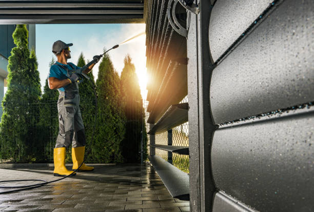 Best Soft Washing  in Mked Tree, AR